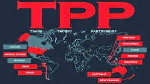 Việt Nam tham gia TPP: Cơ hội và thách thức cho nông nghiệp